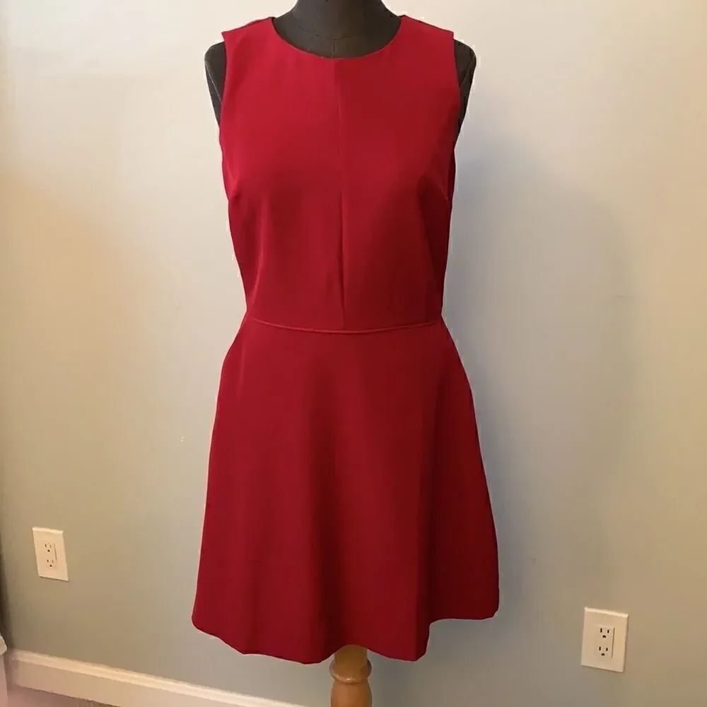 Gap Raspberry Fit & Flare Dress